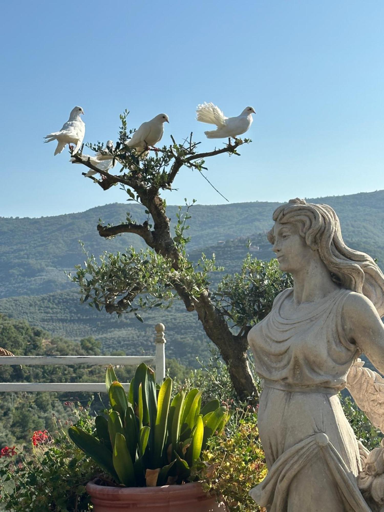 Villa Anna Torria Exterior photo