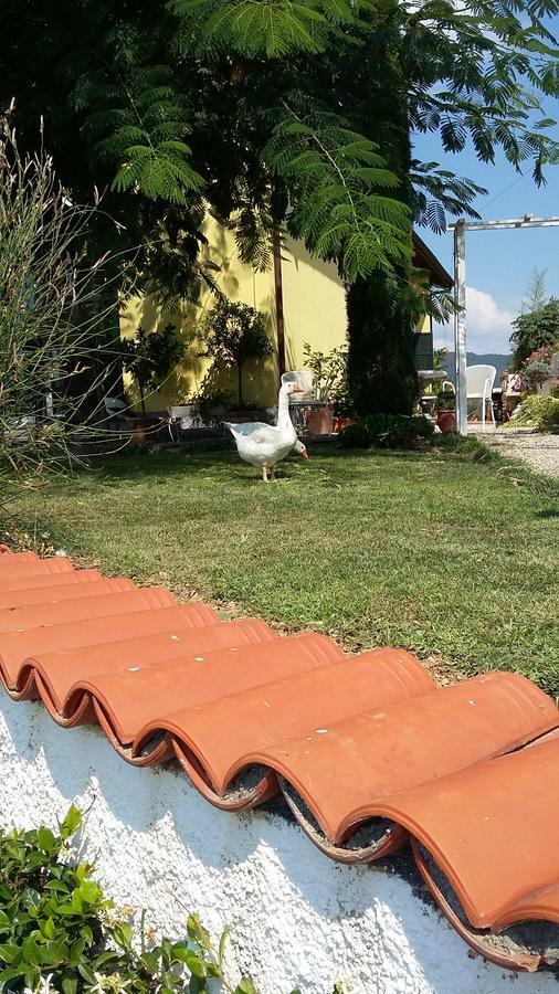 Villa Anna Torria Exterior photo